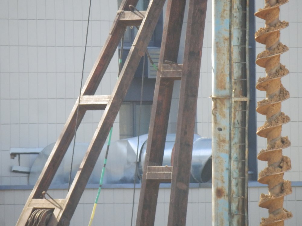 PA010352.JPG