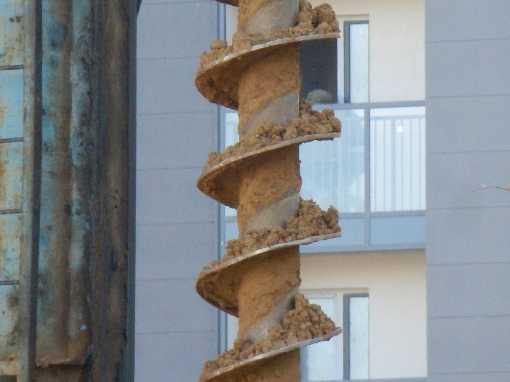 PA010651.JPG