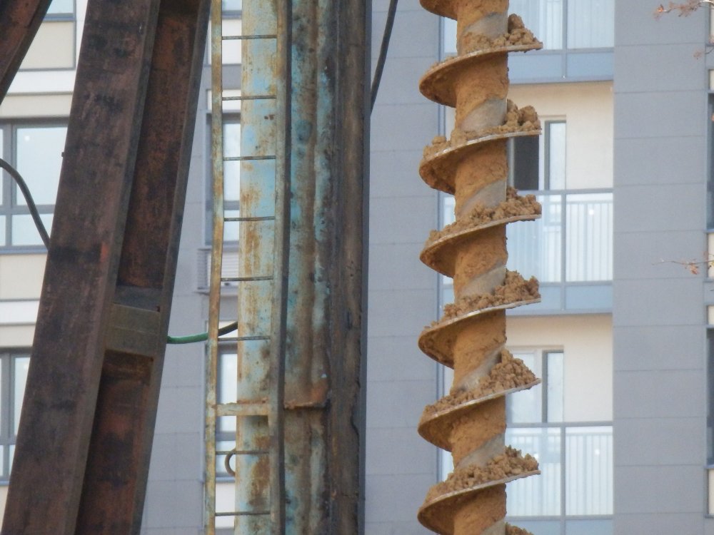 PA010652.JPG