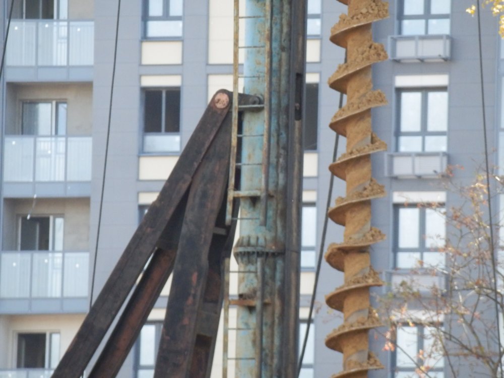 PA010677.JPG