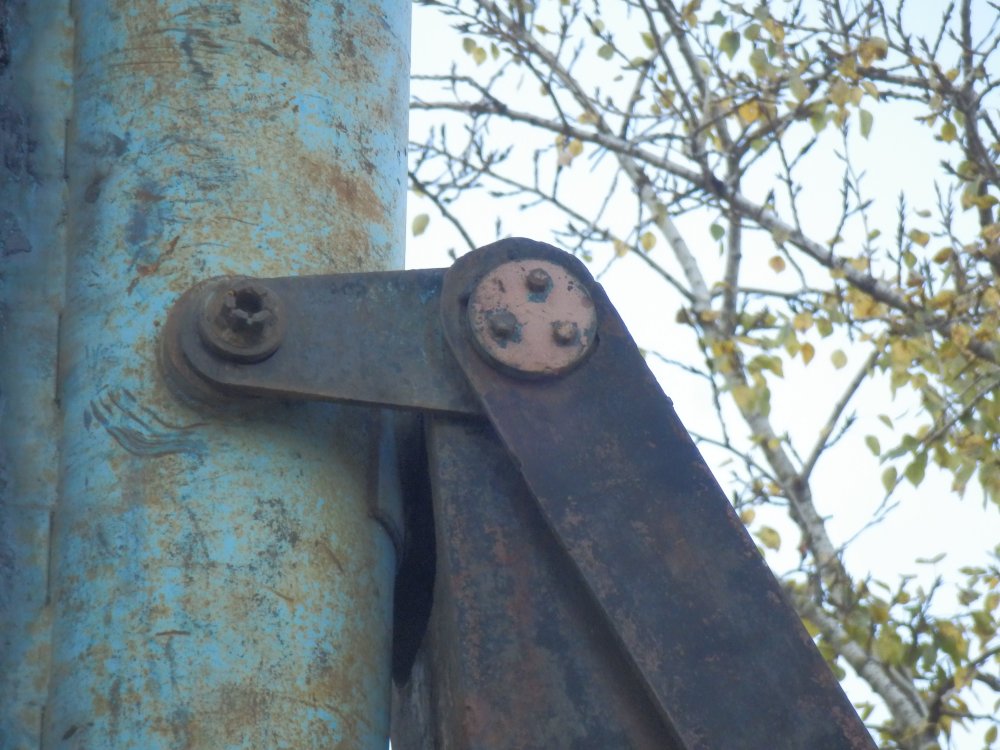 PA010719.JPG