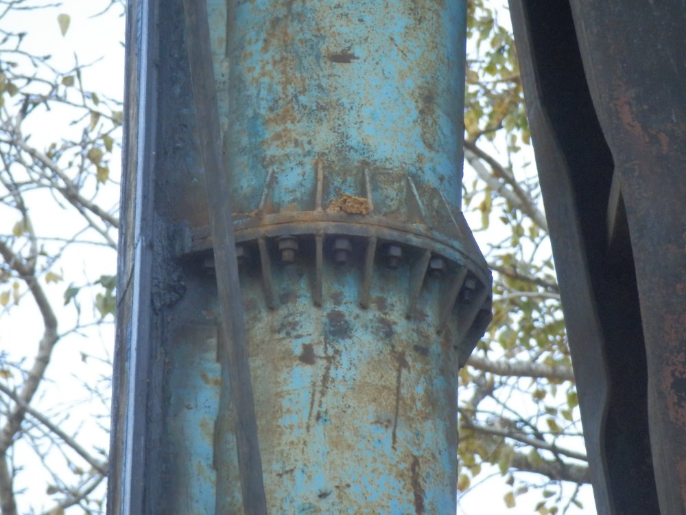 PA010724.JPG