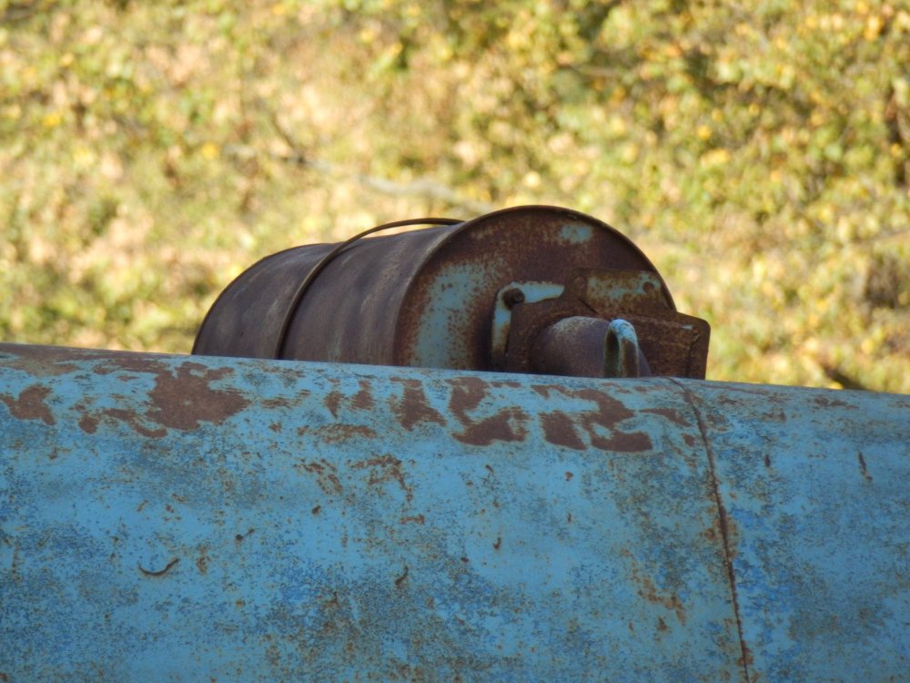 PA010761.JPG