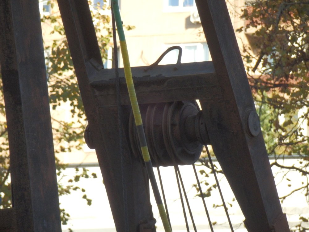 PA010907.JPG
