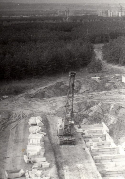 bg5423.jpg