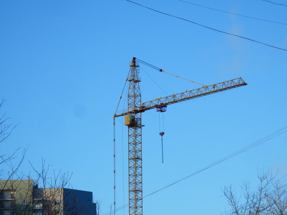 P1094251.JPG