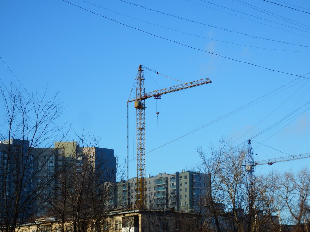 P1094252.JPG