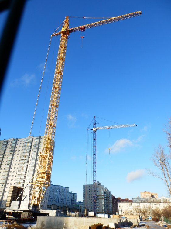 P1094306.JPG