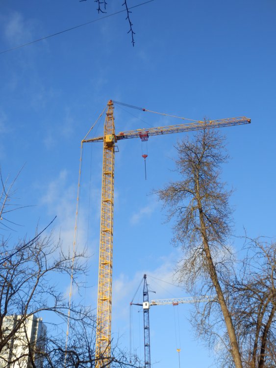 P1094327.JPG