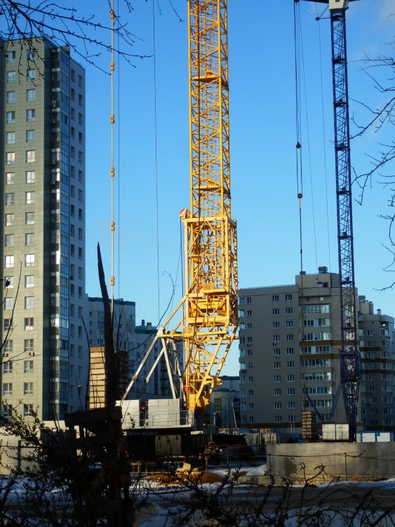 P1094330.JPG