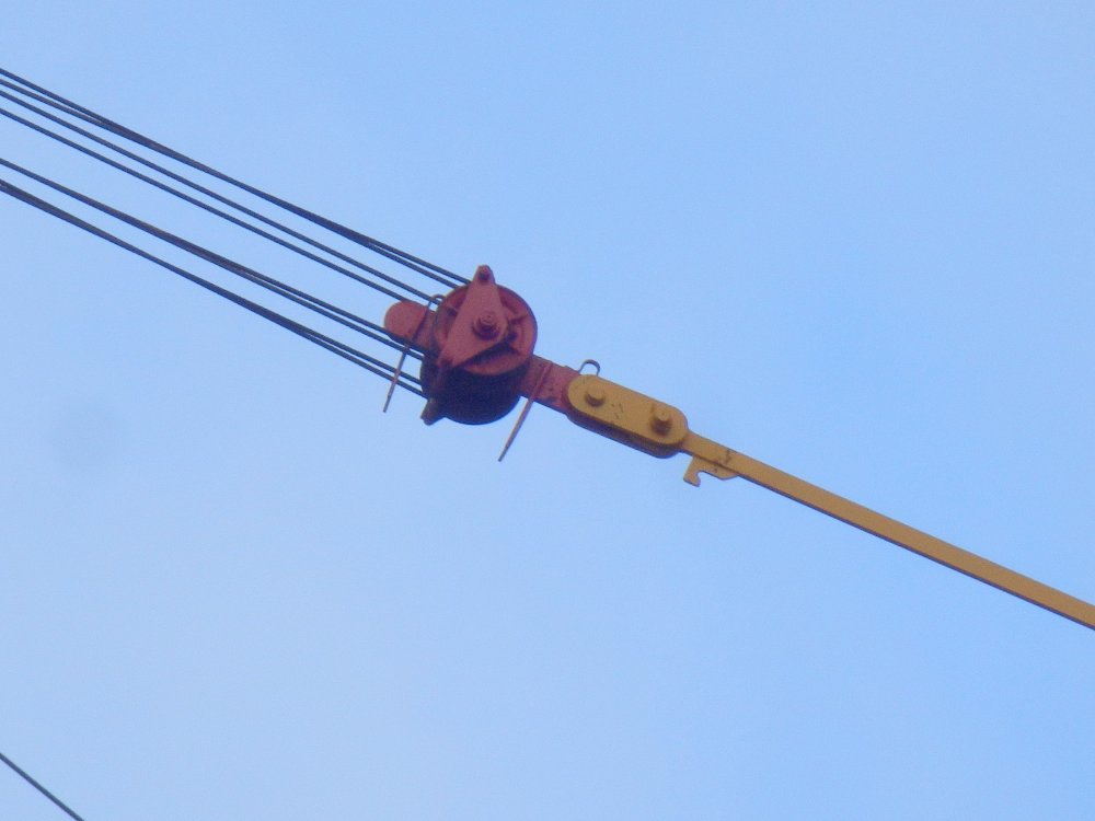 P2020195.JPG