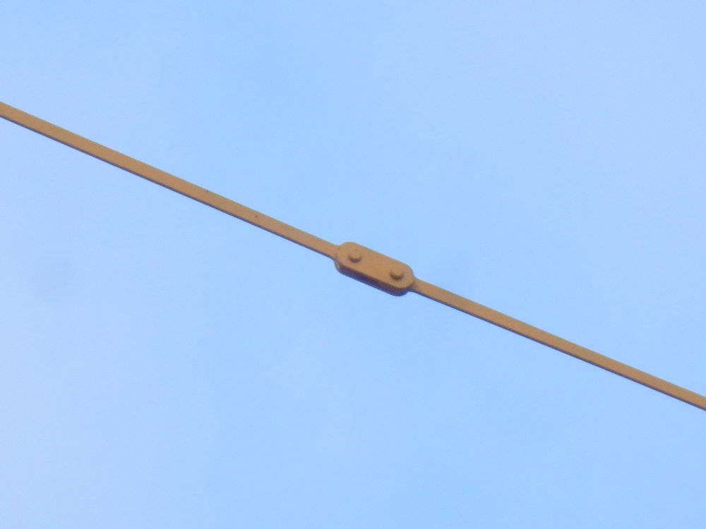 P2020196.JPG