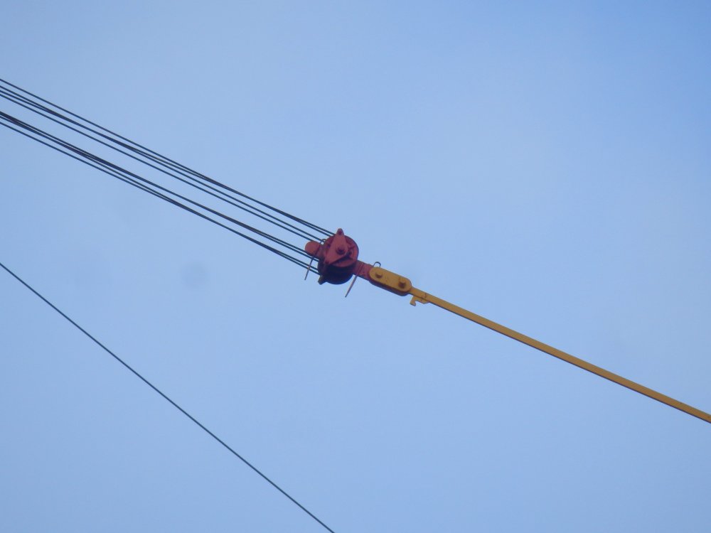 P2020197.JPG