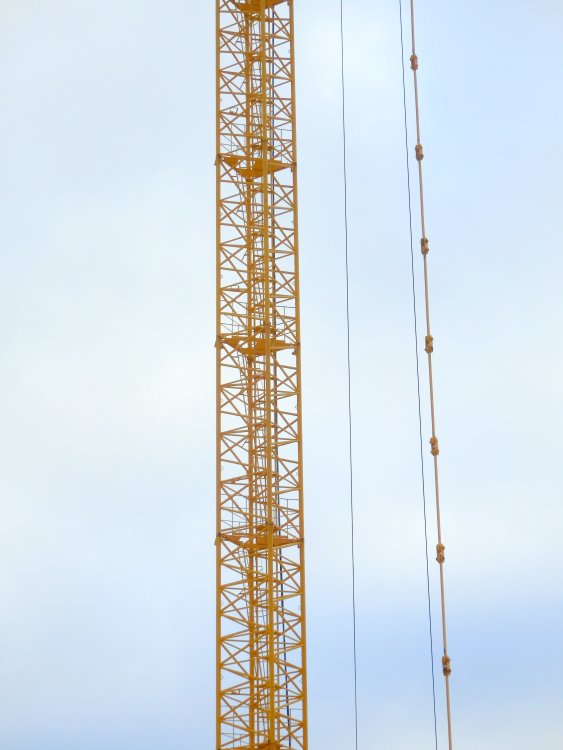 PC224195.JPG