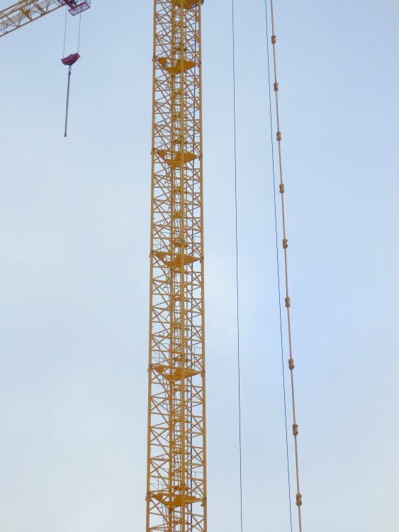 PC224196.JPG