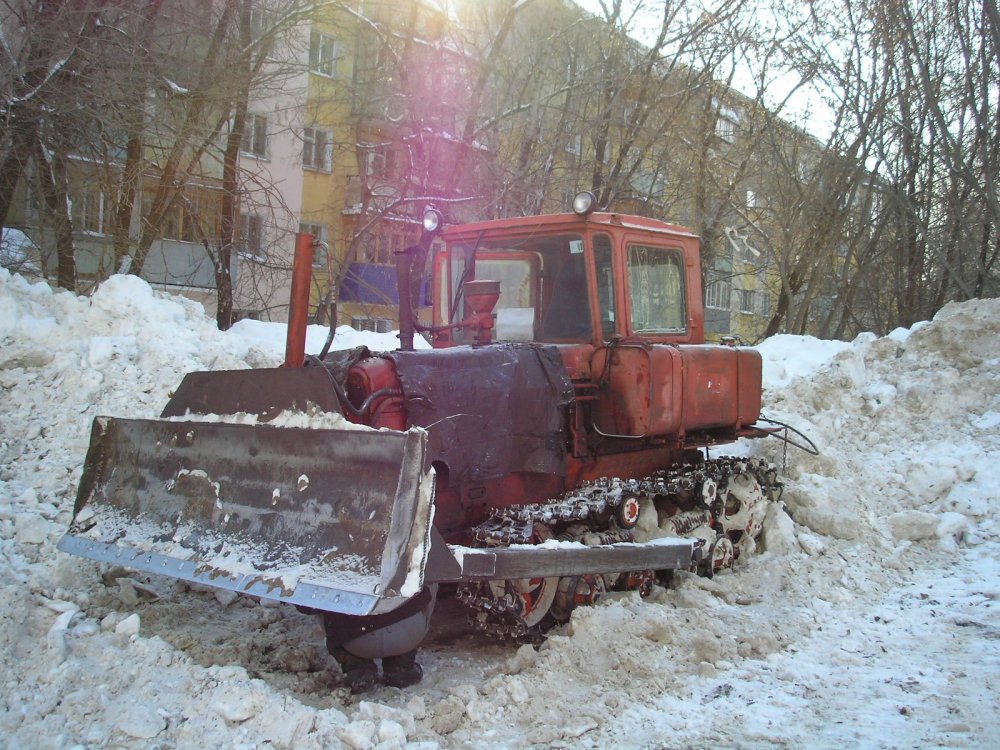 P2084433.JPG