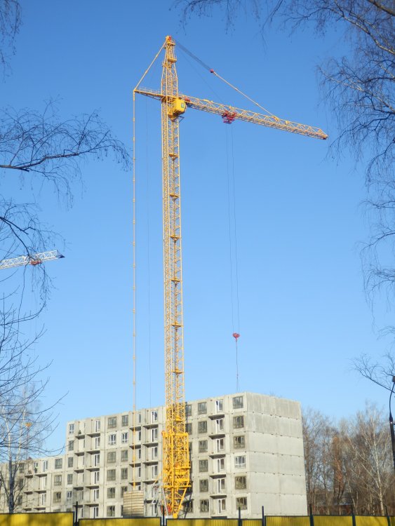 P2250652.JPG
