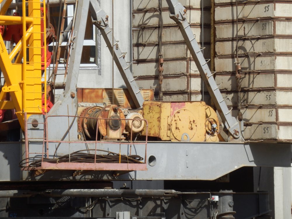 P5290942.JPG