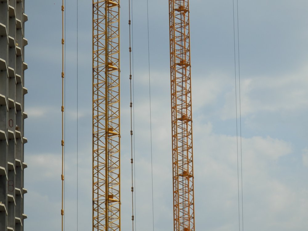 P5291033.JPG