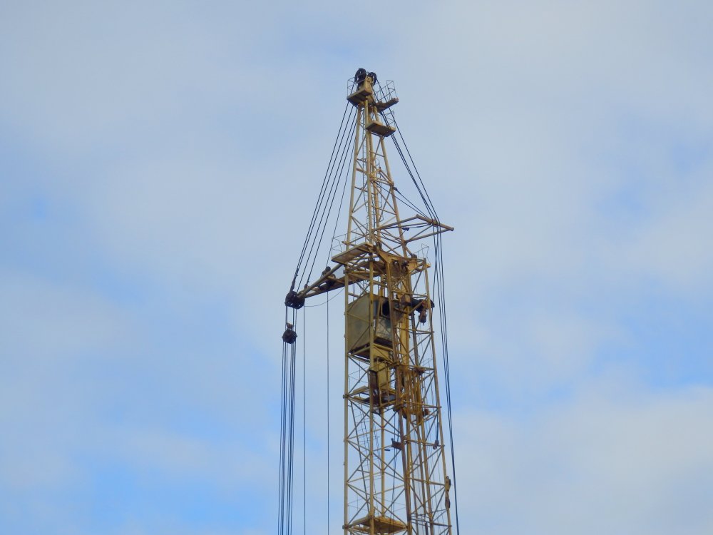 PB050014.JPG