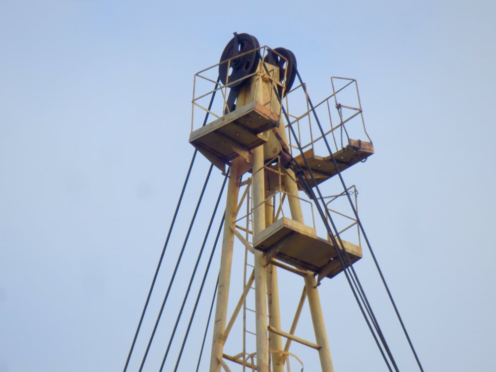 PB050015.JPG