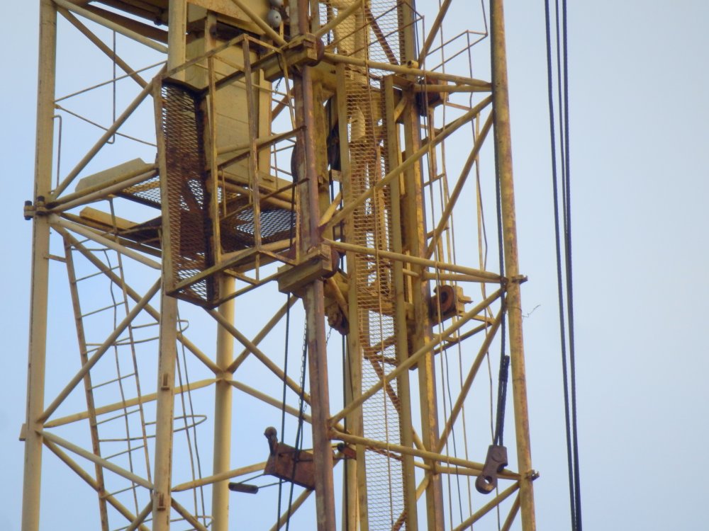PB050022.JPG