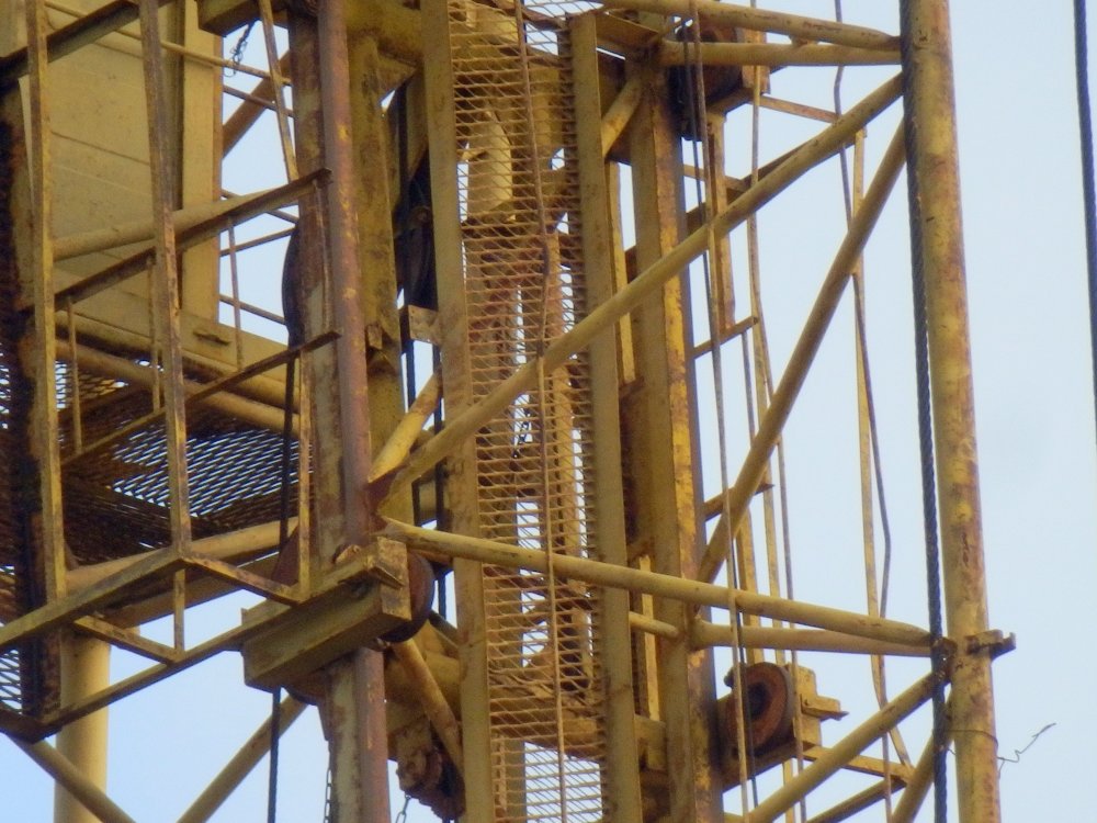 PB050024.JPG
