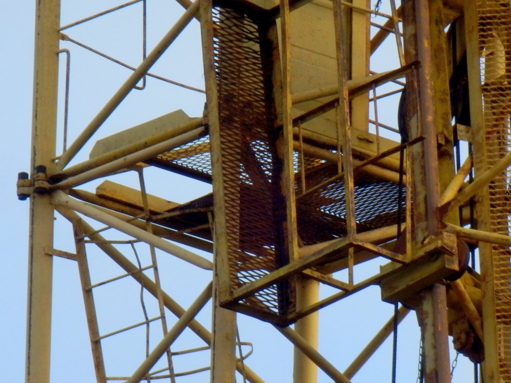 PB050025.JPG