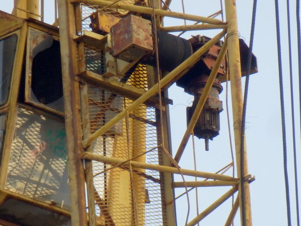PB050028.JPG