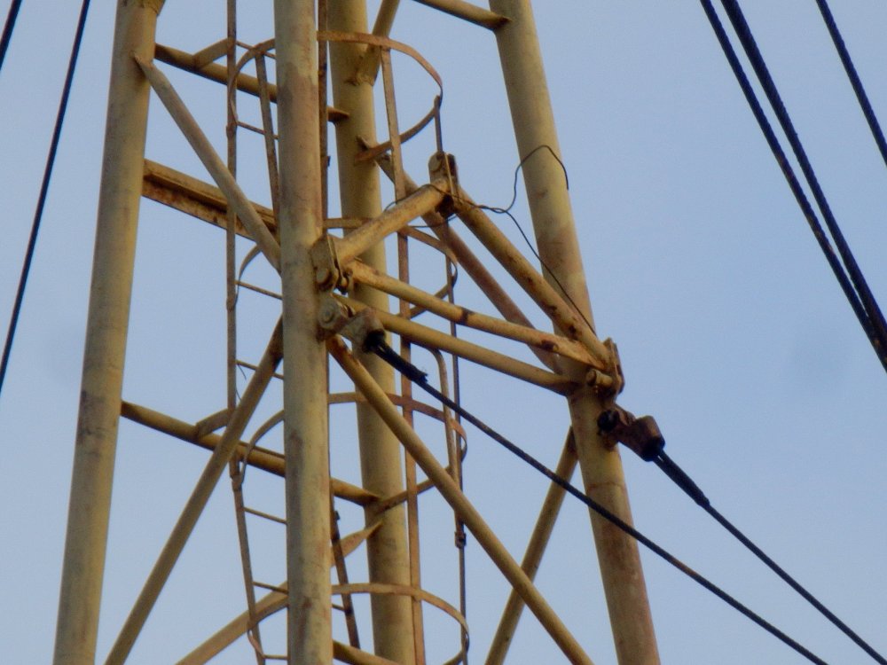 PB050033.JPG