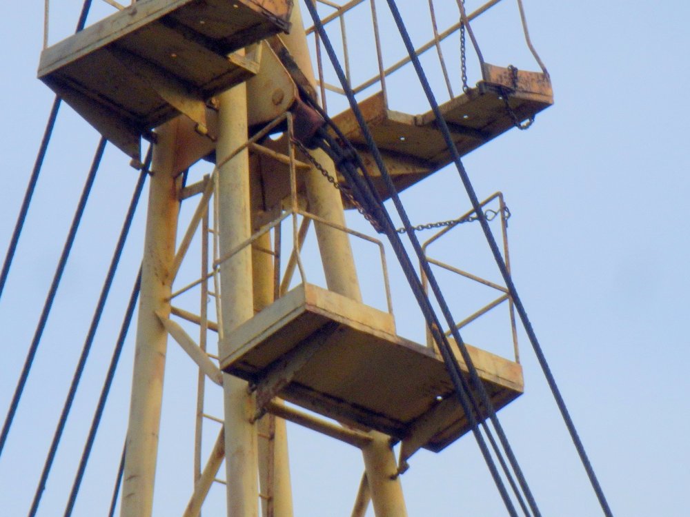 PB050034.JPG