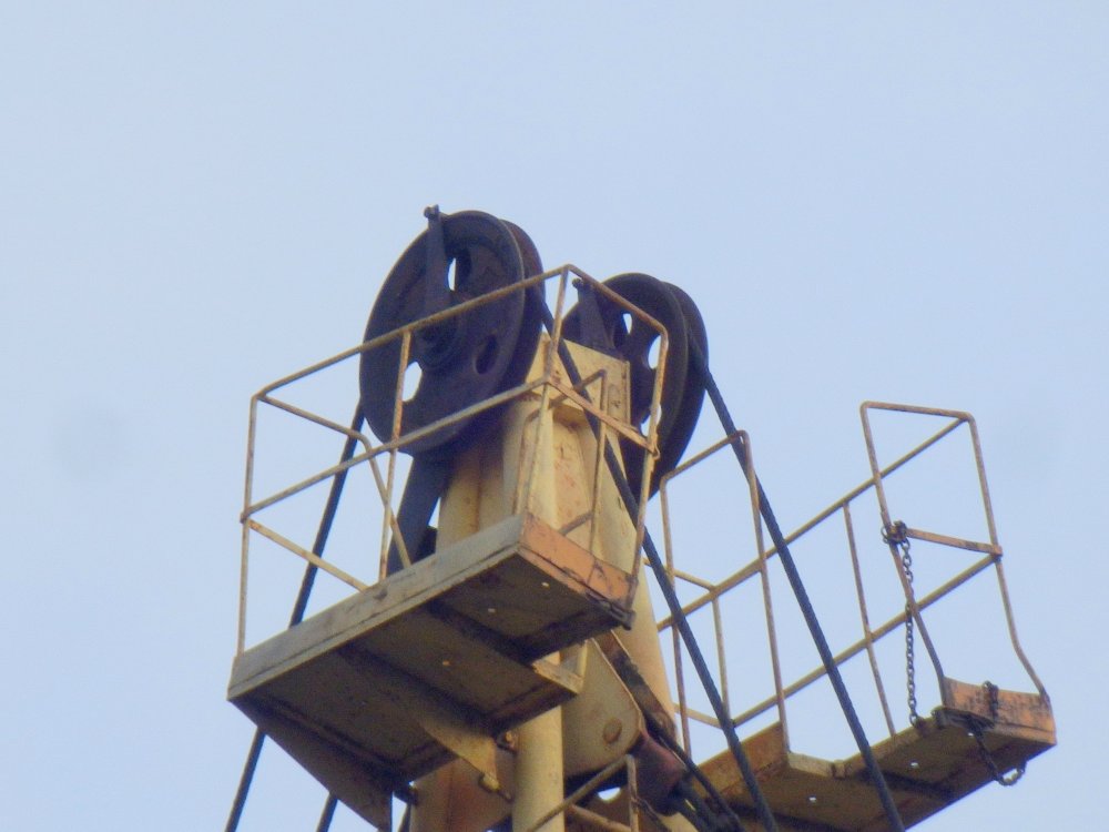 PB050035.JPG