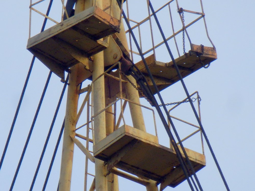 PB050037.JPG