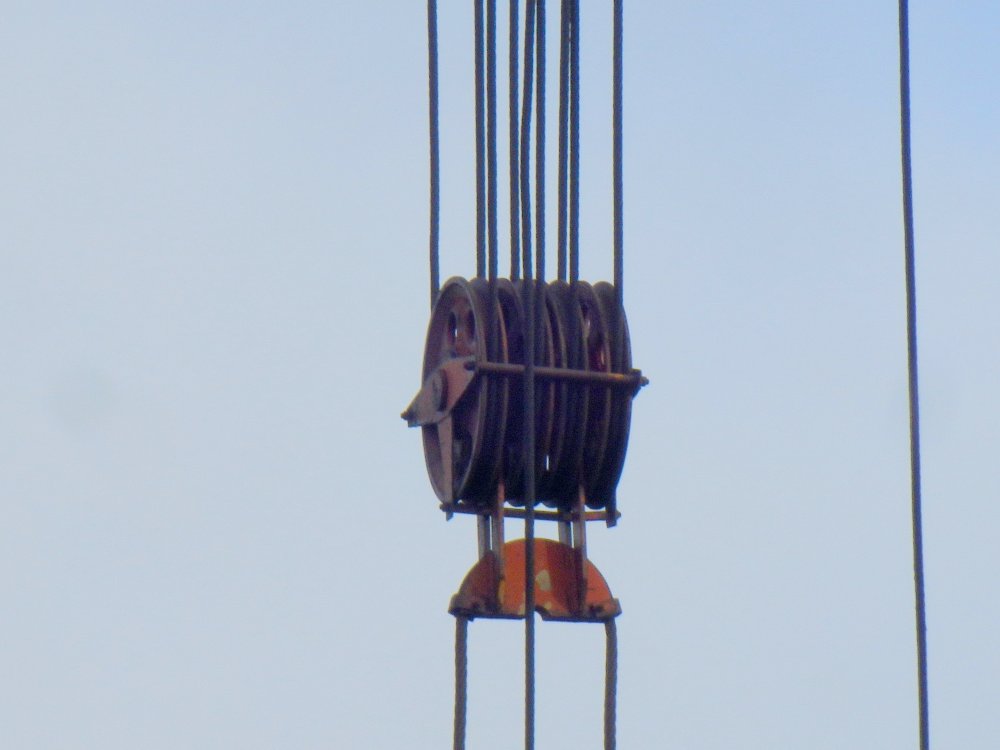 PB050047.JPG