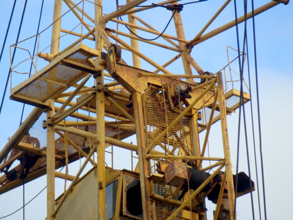 PB050056.JPG