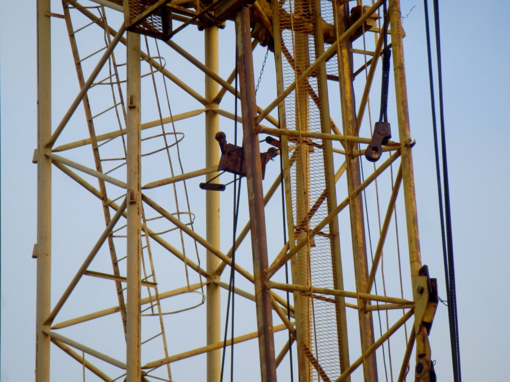 PB050059.JPG