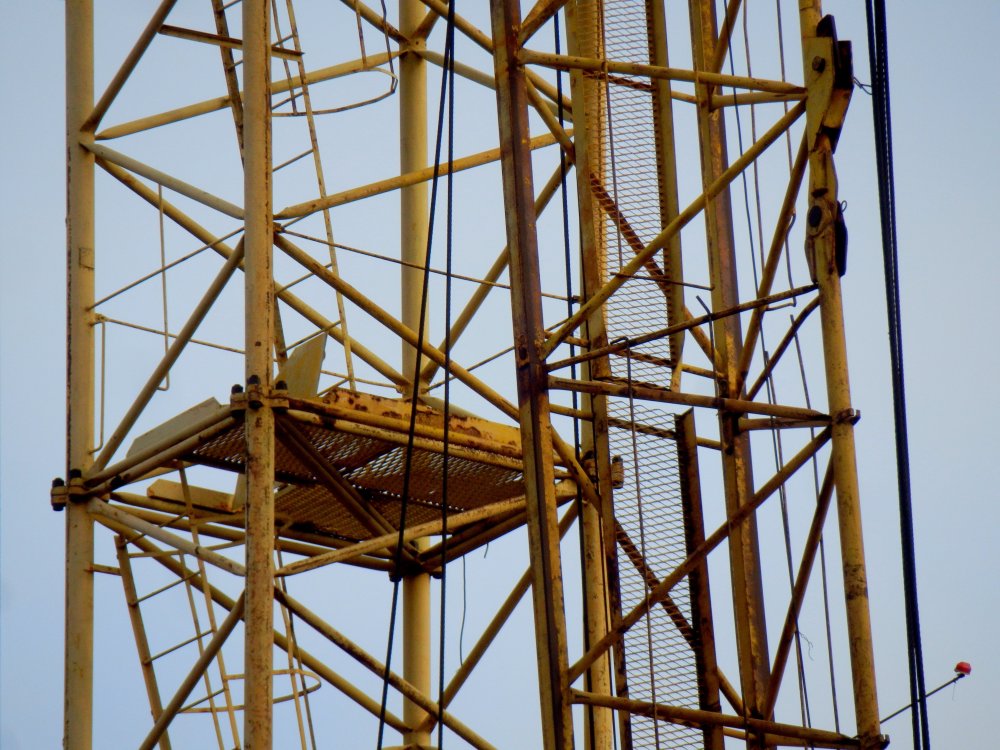 PB050060.JPG