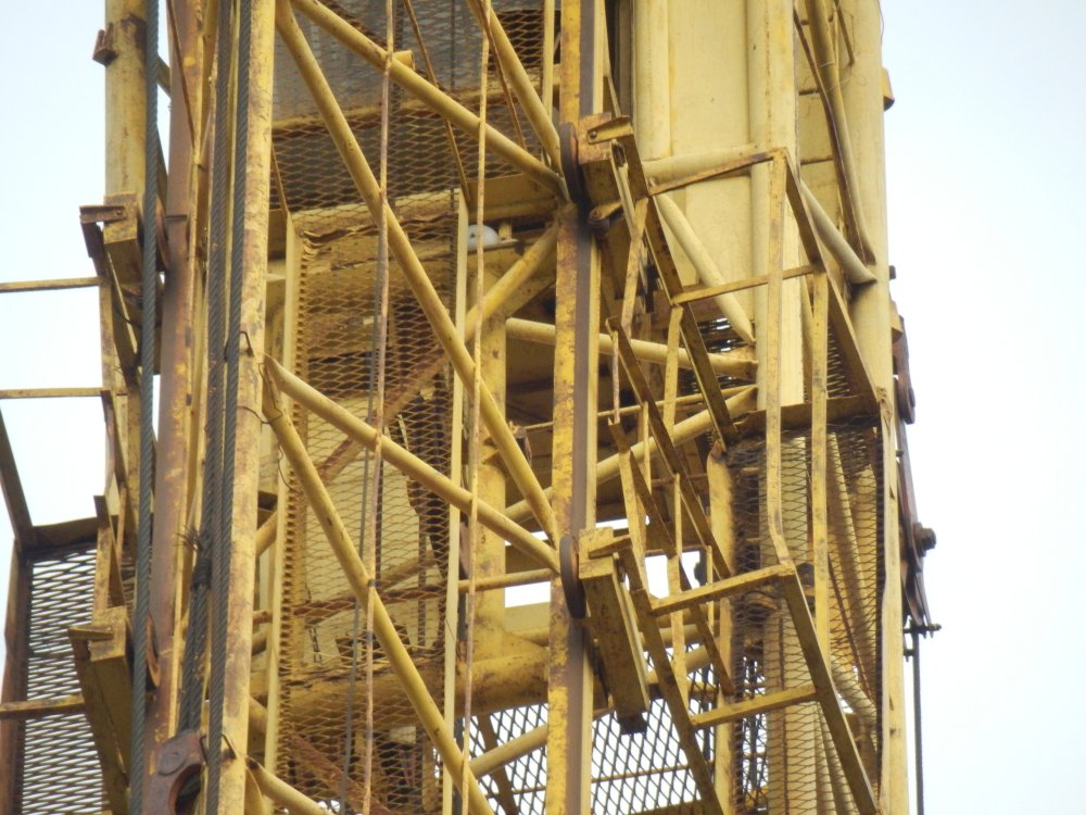 PB050069.JPG