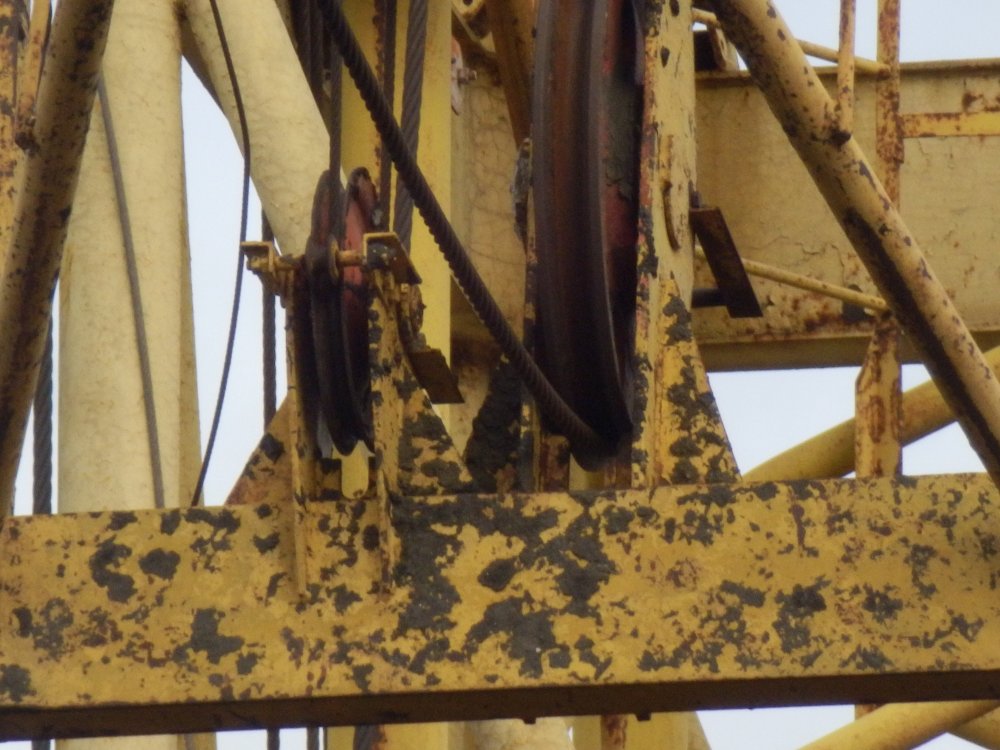 PB050079.JPG