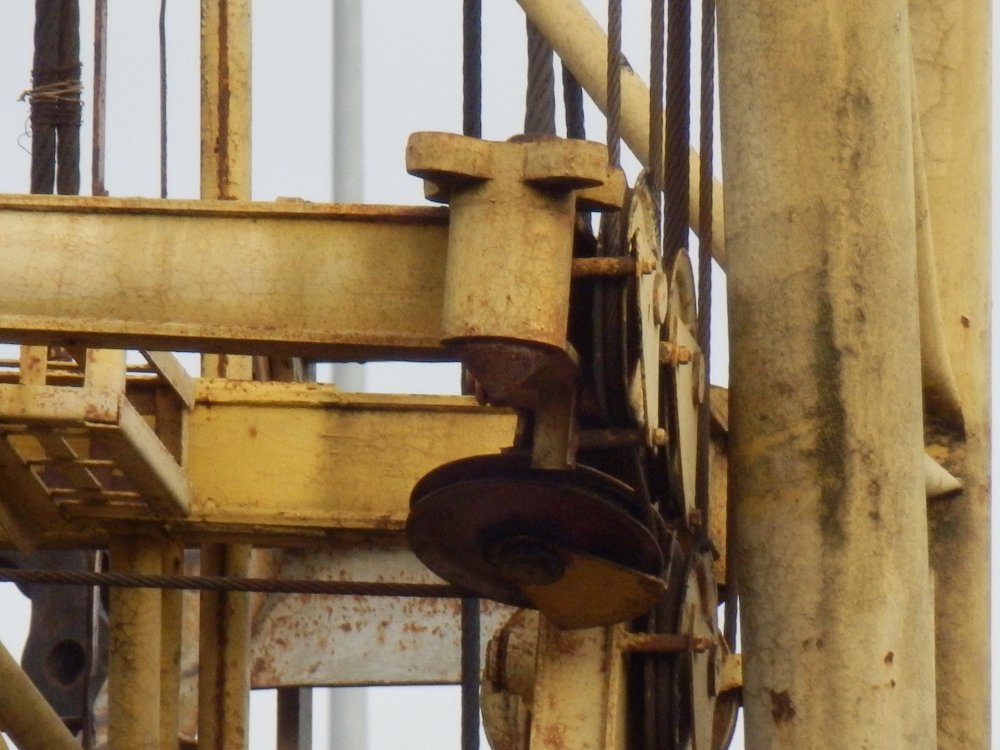 PB050082.JPG
