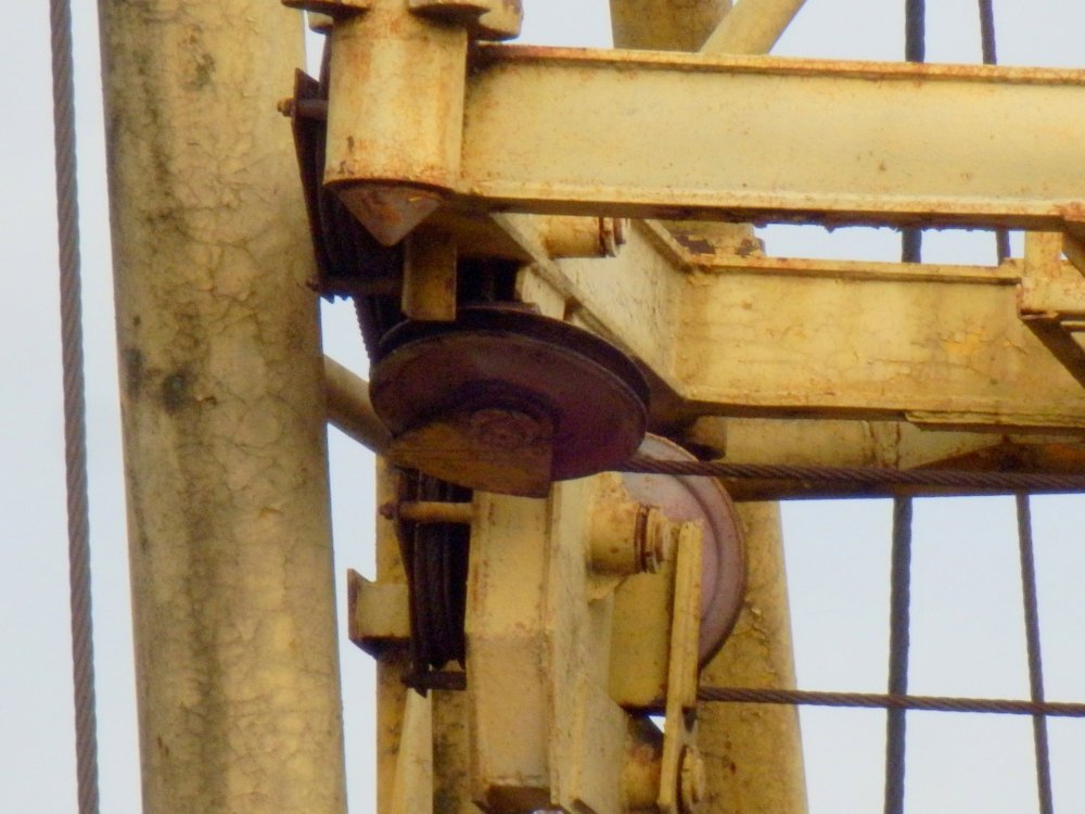 PB050084.JPG