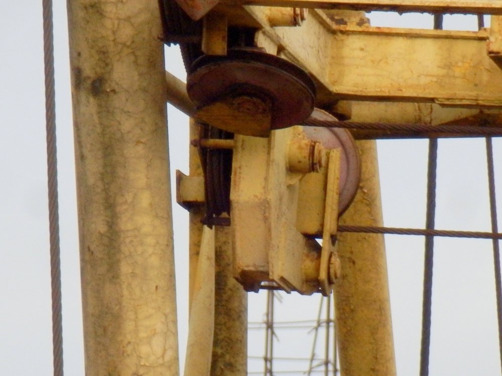PB050086.JPG