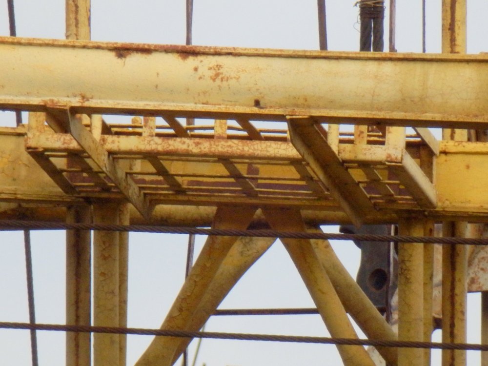 PB050087.JPG