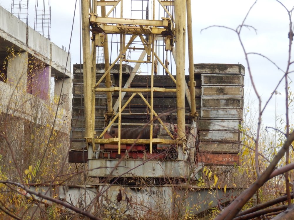 PB050094.JPG