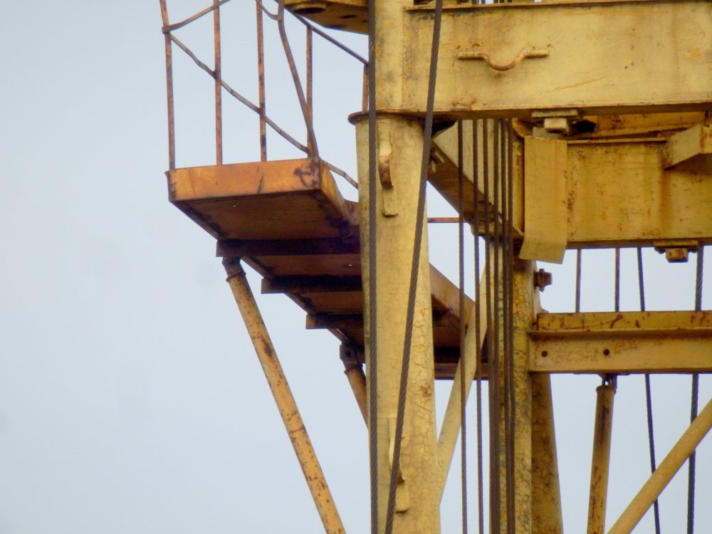 PB050097.JPG