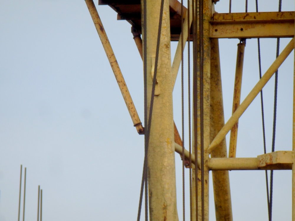 PB050098.JPG