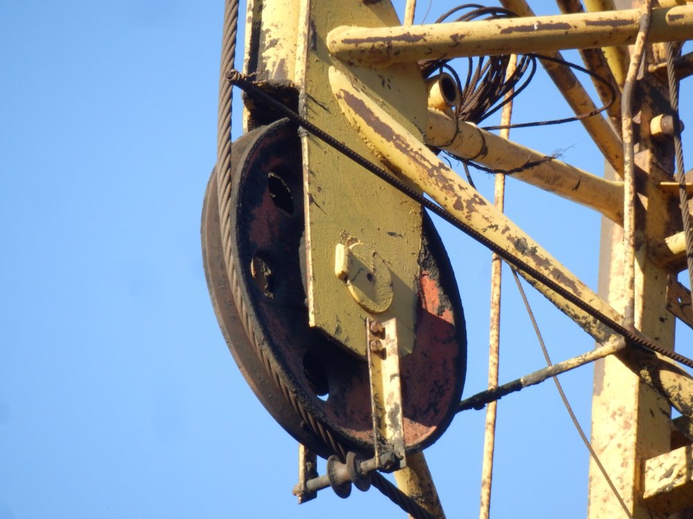 PB050276.JPG