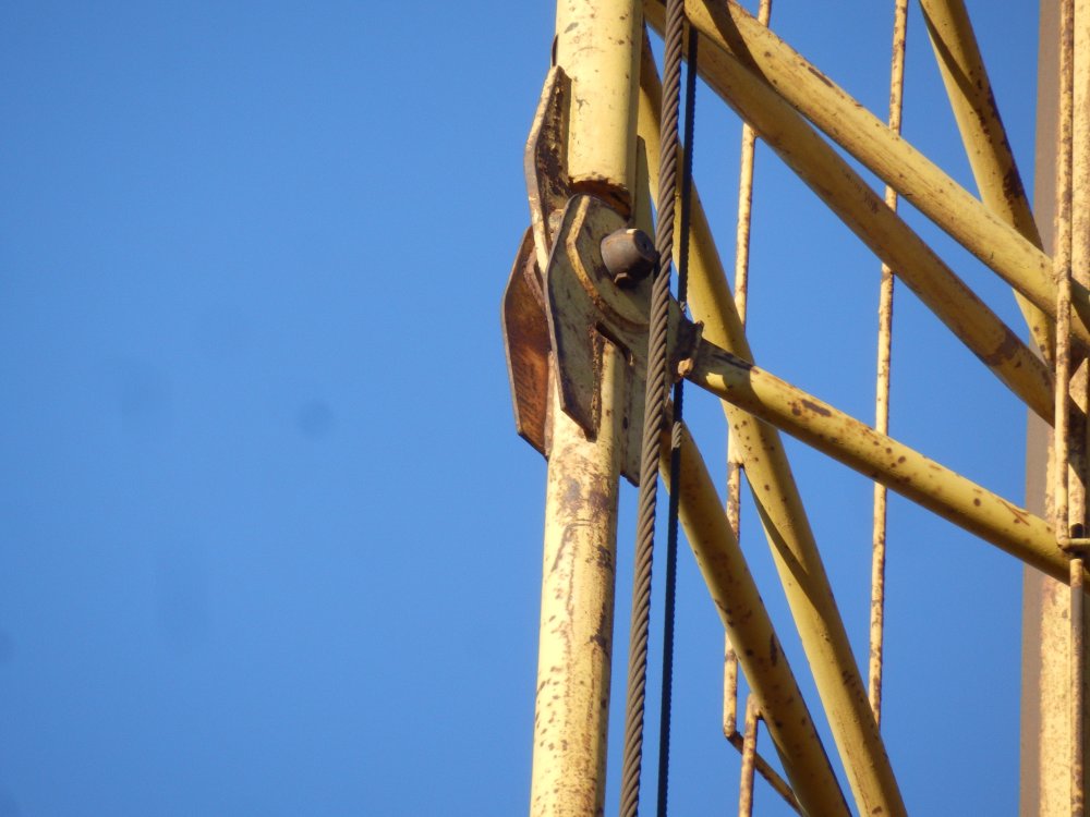 PB050283.JPG