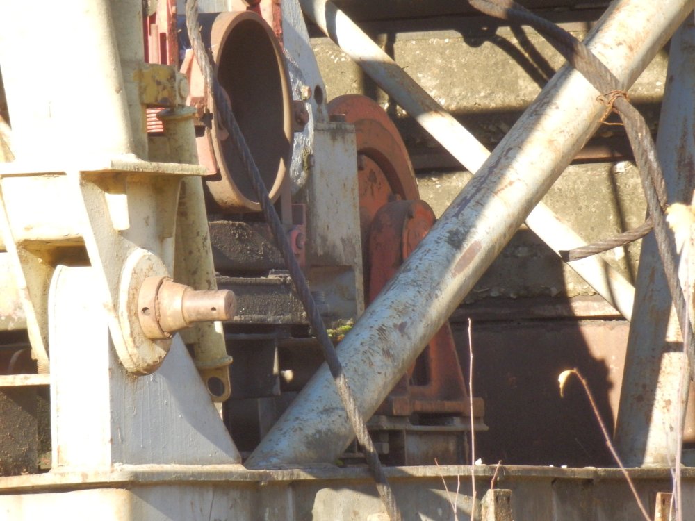 PB050313.JPG