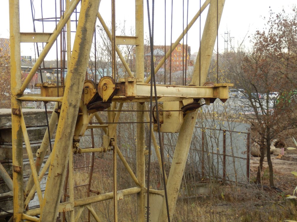 PB050603.JPG